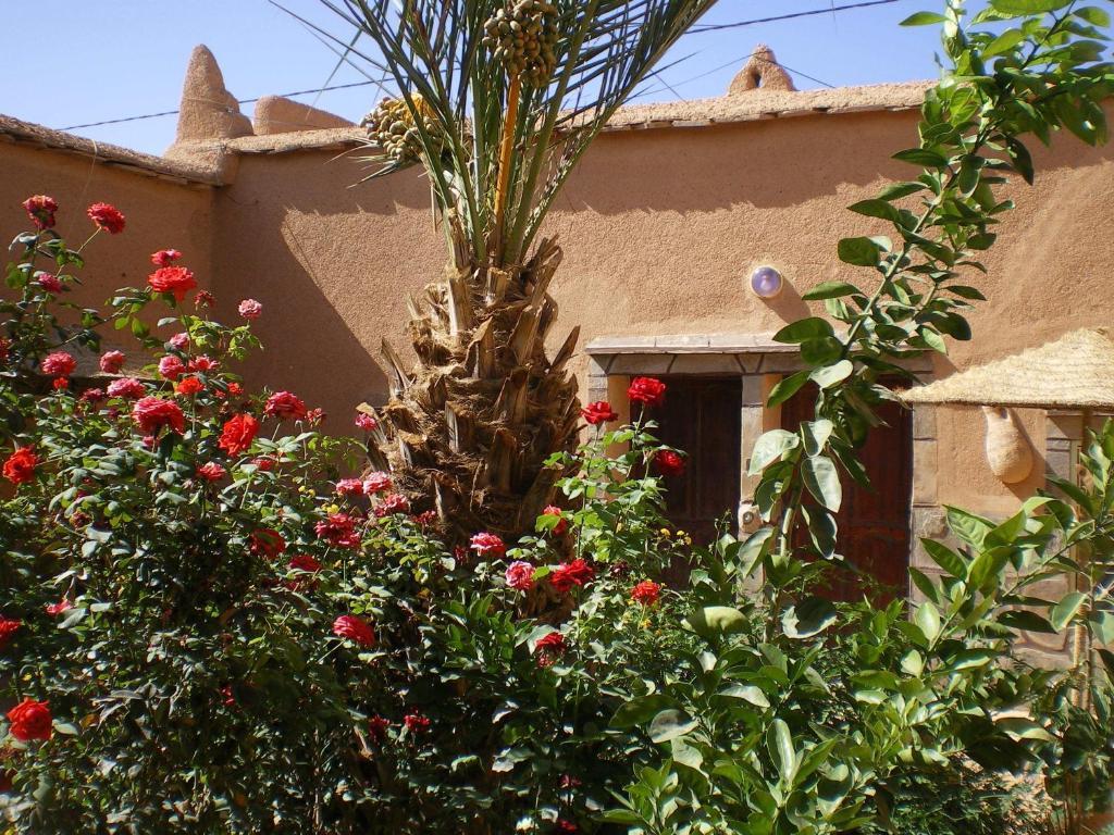 Maison D' Hotes Ait Hmid Nkob Bagian luar foto