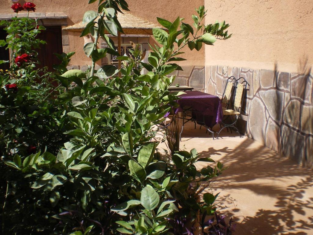 Maison D' Hotes Ait Hmid Nkob Bagian luar foto