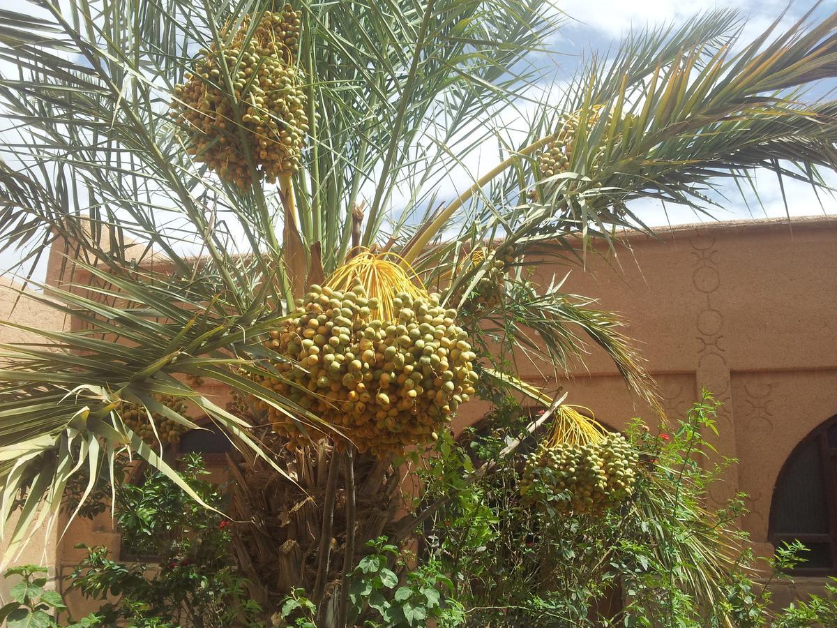 Maison D' Hotes Ait Hmid Nkob Bagian luar foto
