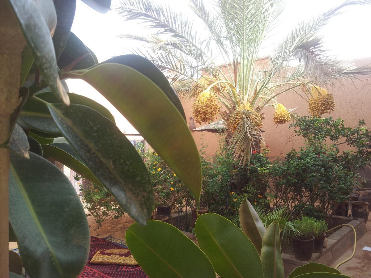 Maison D' Hotes Ait Hmid Nkob Bagian luar foto